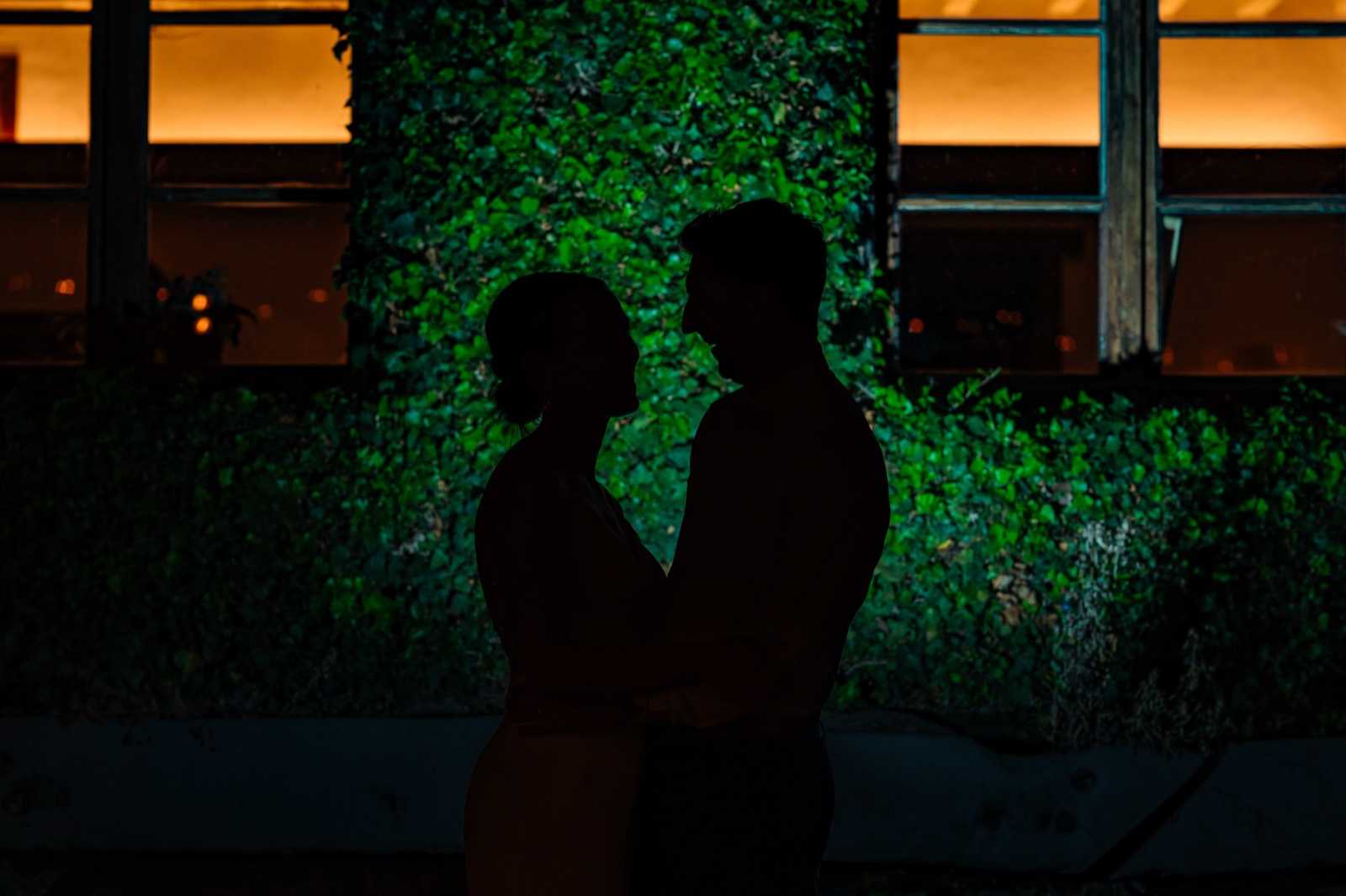 Silhouet in het groen licht
